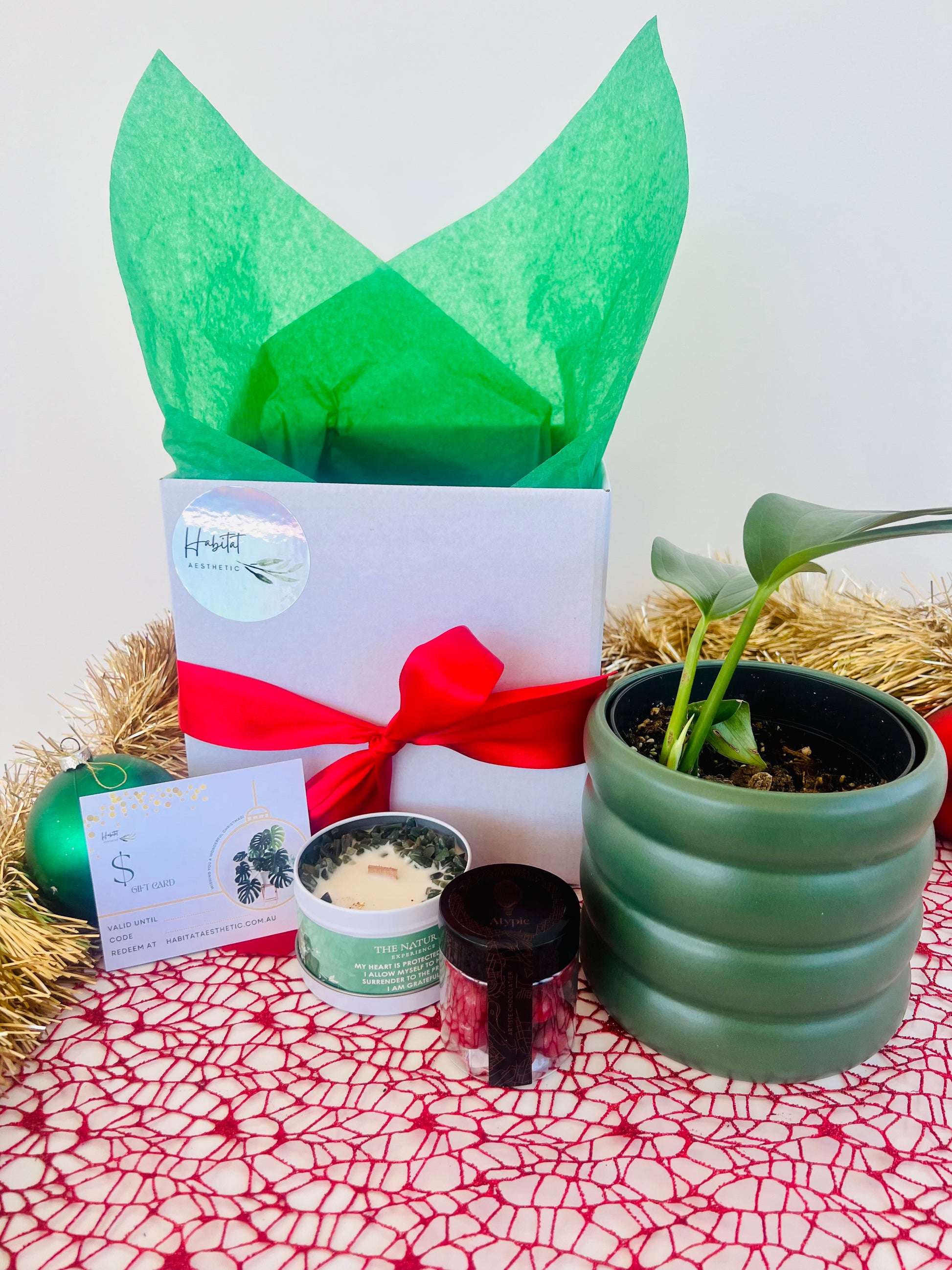 Christmas Plant Gift Epipremnum Pinnatum Gem Soy Candle Chocolates Gift Box