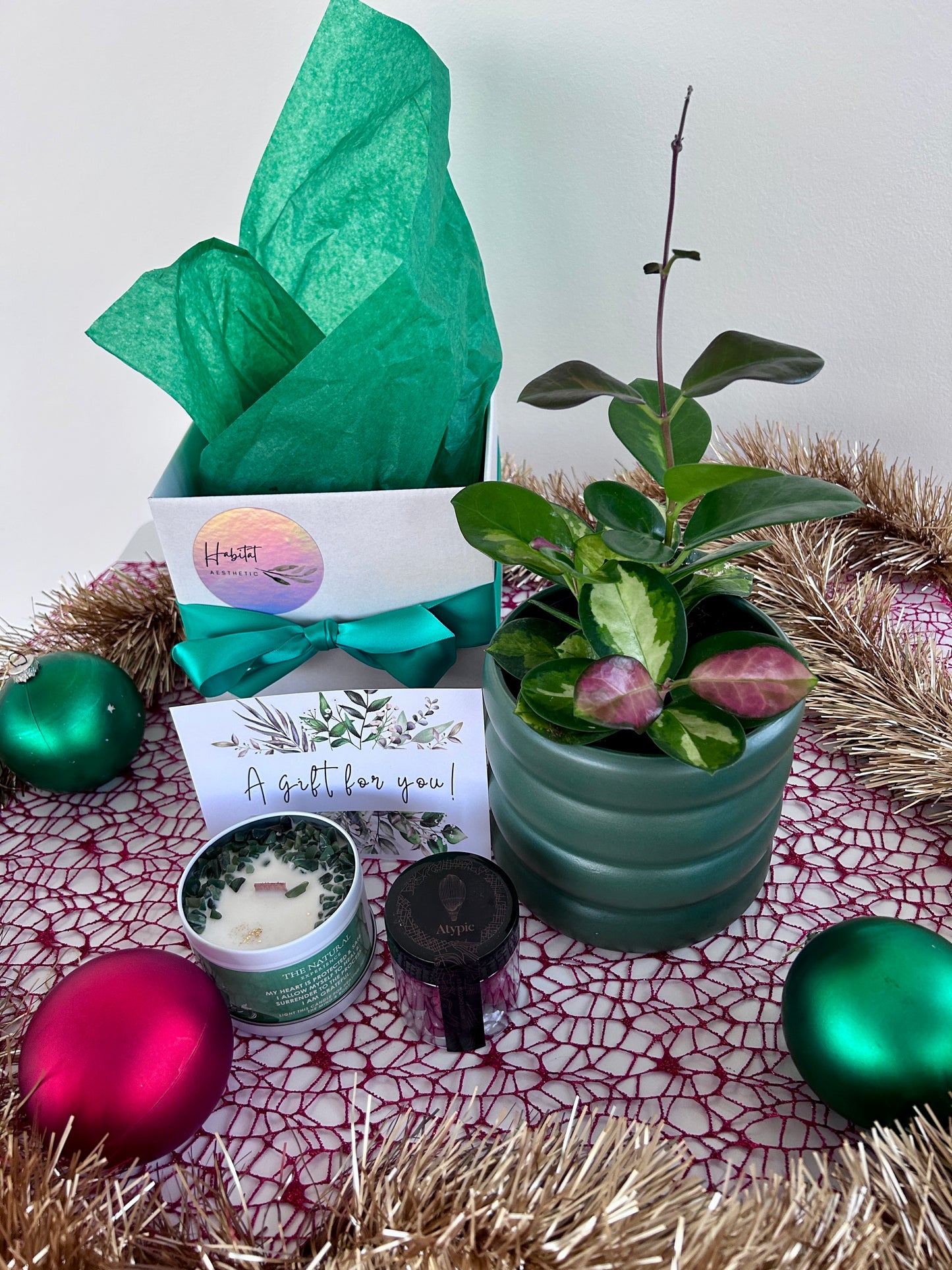 Christmas Plant Gift Hoya Plant Gem Soy Candle Chocolates Gift Box