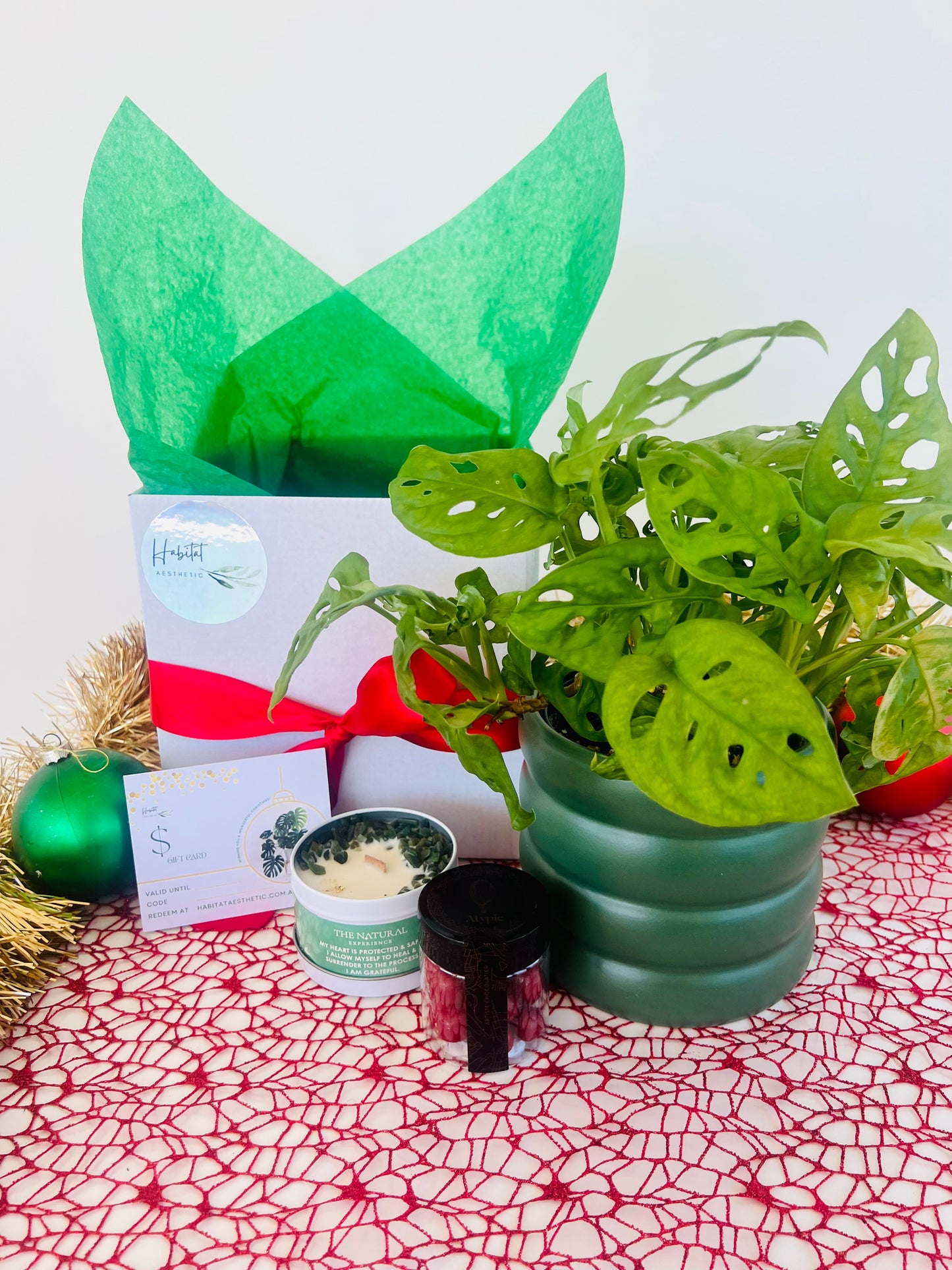 Christmas Plant Gift Monstera Monkey Mask Gem Soy Candle Chocolates Gift Box