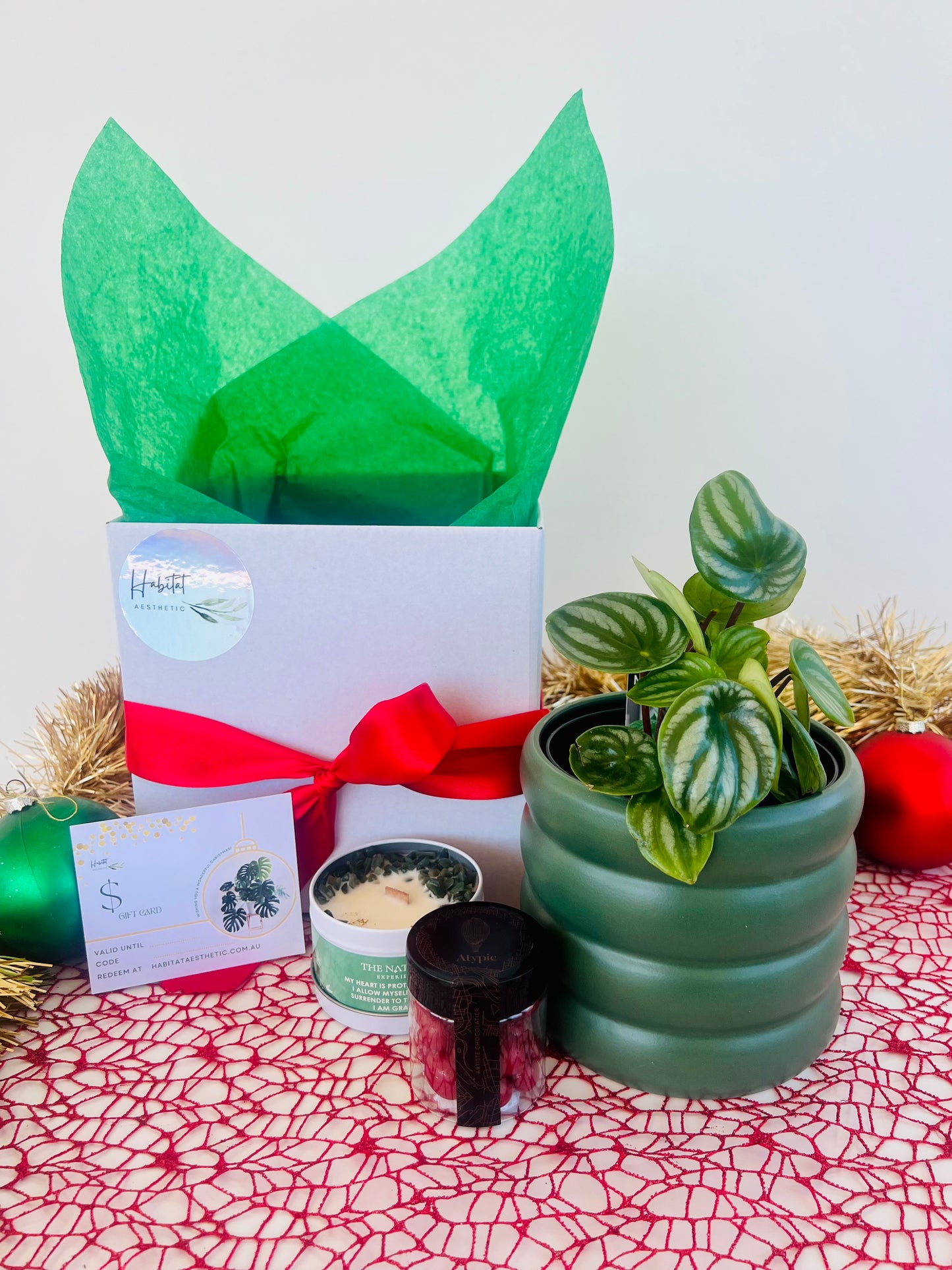 Christmas Plant Gift Watermelon Peperomia Gem Soy Candle Chocolates Gift Box