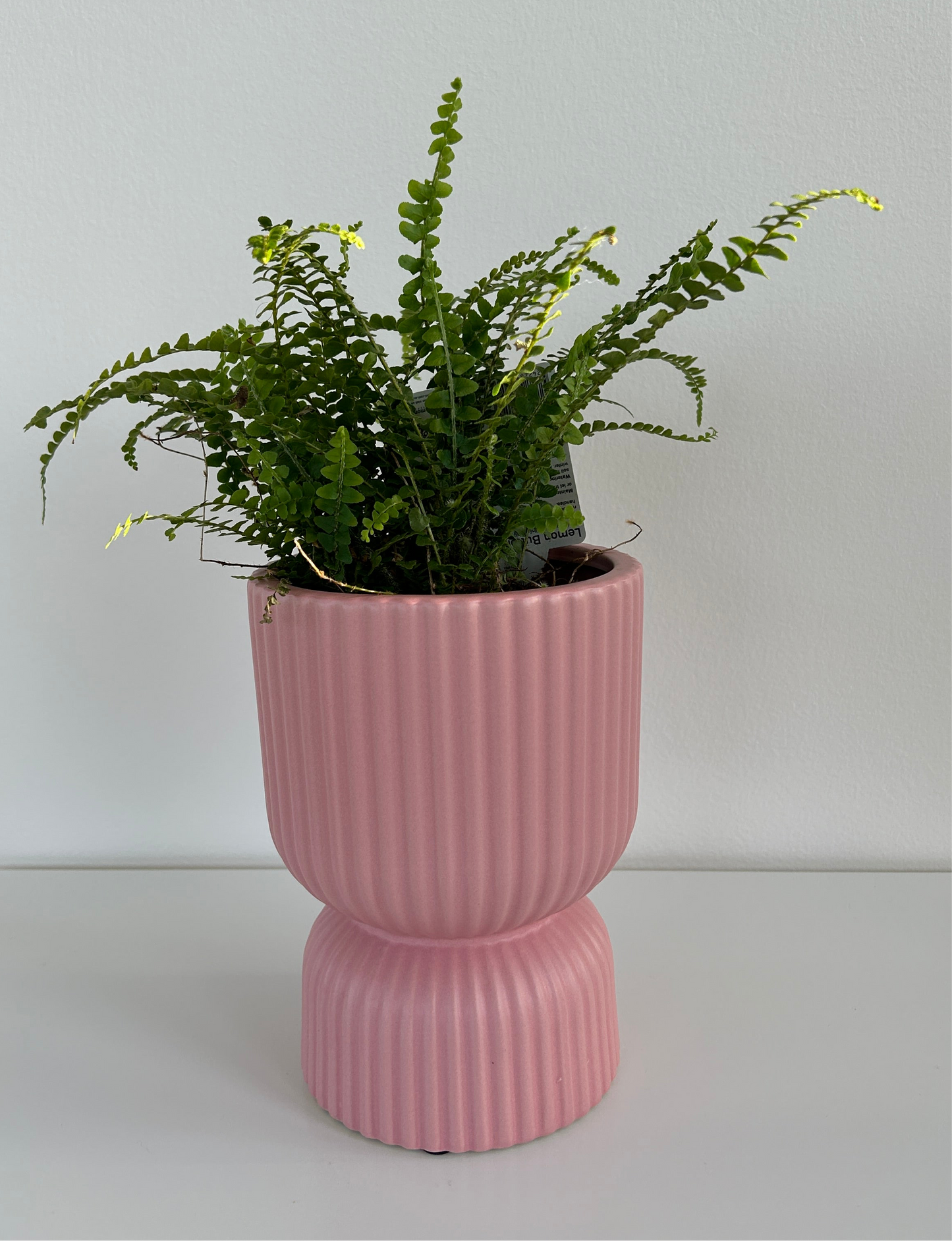 Blush Pink Tall Ribbed Ceramic Vase Plant Pot 12cm Diameter