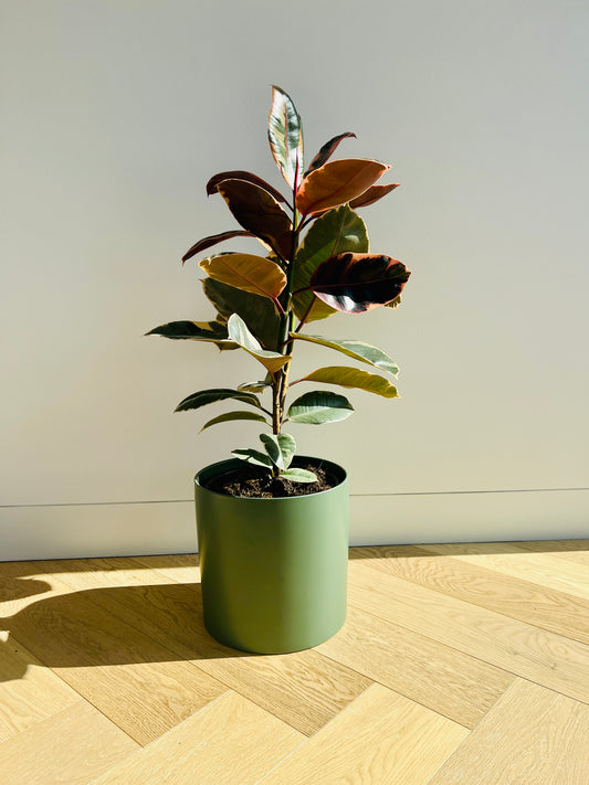 Olive Green Ceramic Plant Pot 24cm