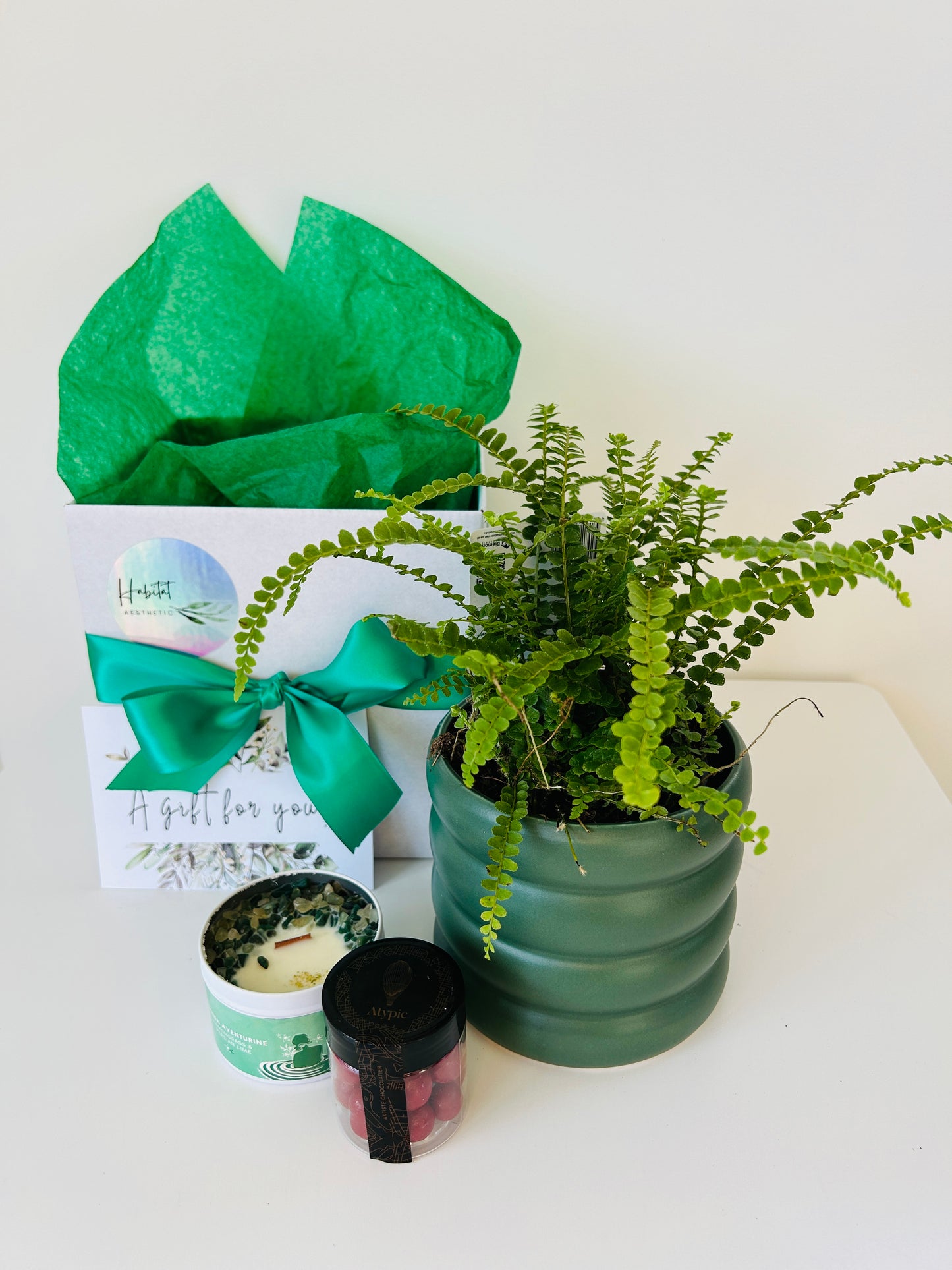 Plant Lovers Gift Box of Joy Lemon Button Fern Plant Chocolates and Soy Wax Candle