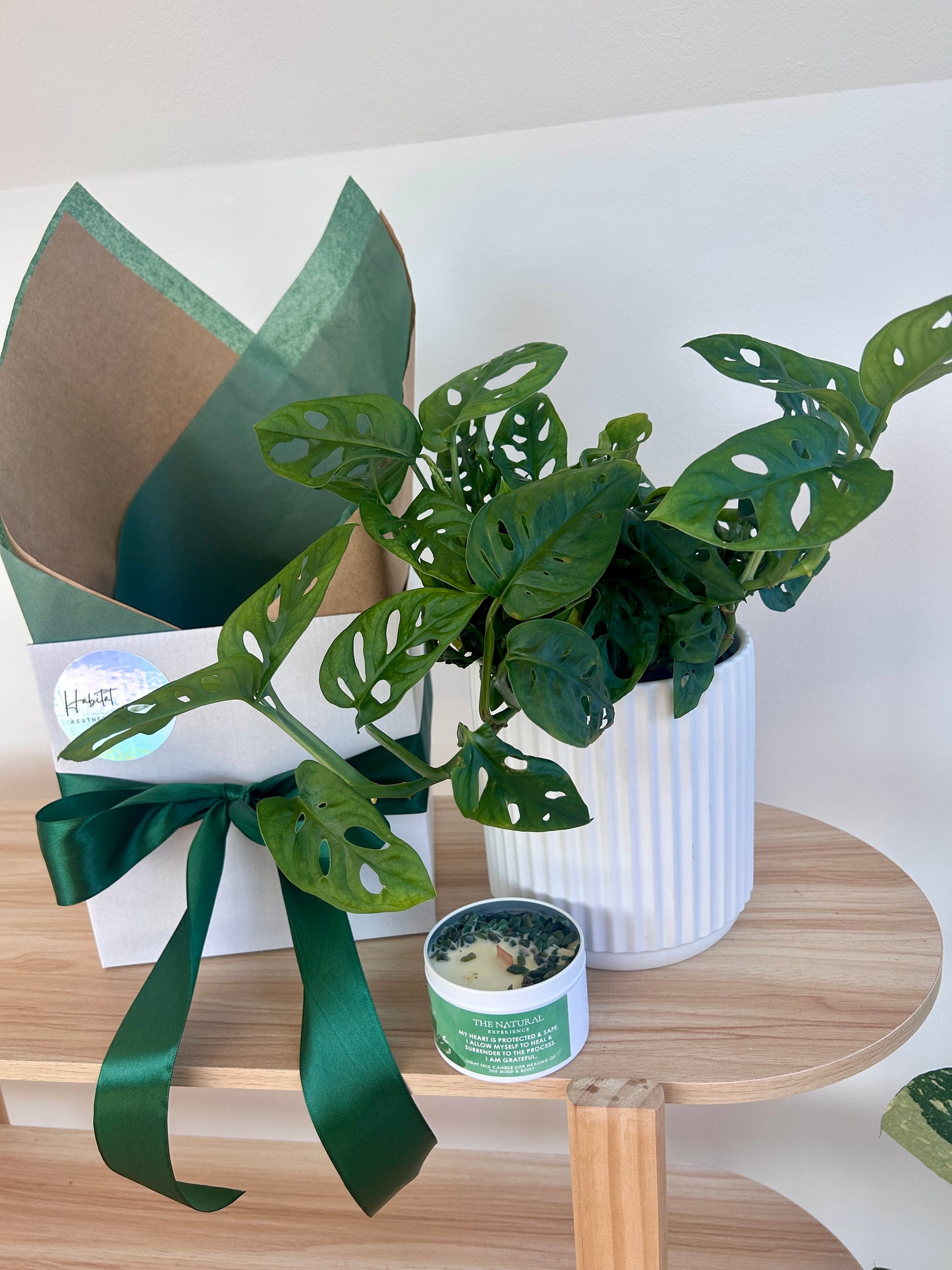 House Warming Gift Box Monstera Monkey Mask 14cm White Ribbed Ceramic Pot and Soy Gem Green Aventurine Persian Lime and Lemongrass Candle Australia Wide Delivery Gift