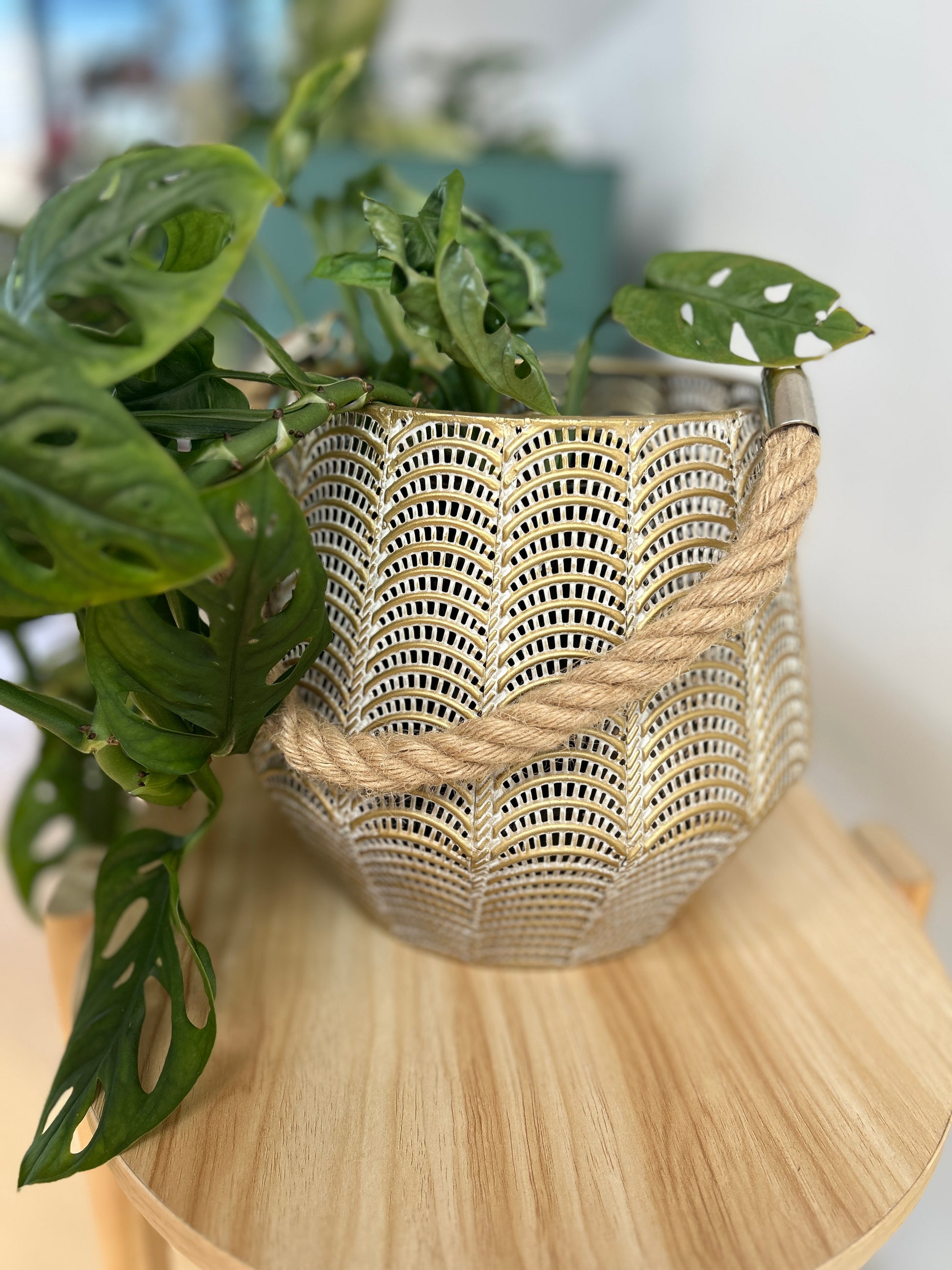 Mesh lantern pot