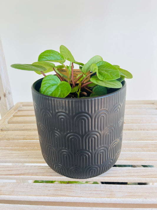 Midnight Black Ceramic Pattern Plant Pot 12cm