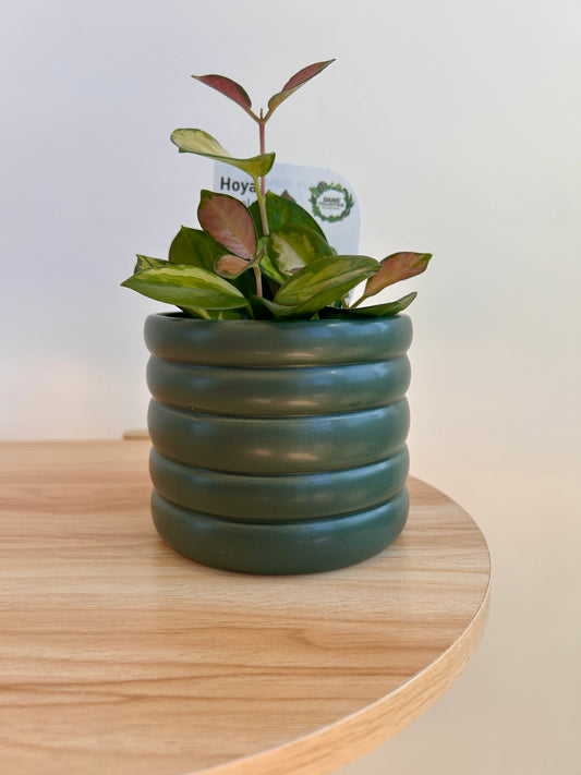 Olive Green Ceramic Coil Pot 10cm