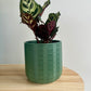 Olive green geometric patterned ceramic pot 12cm