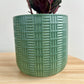 Olive green geometric patterned ceramic pot 12cm Boho 