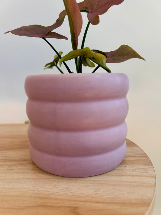 Pink Coil Ceramic Pot 10cm