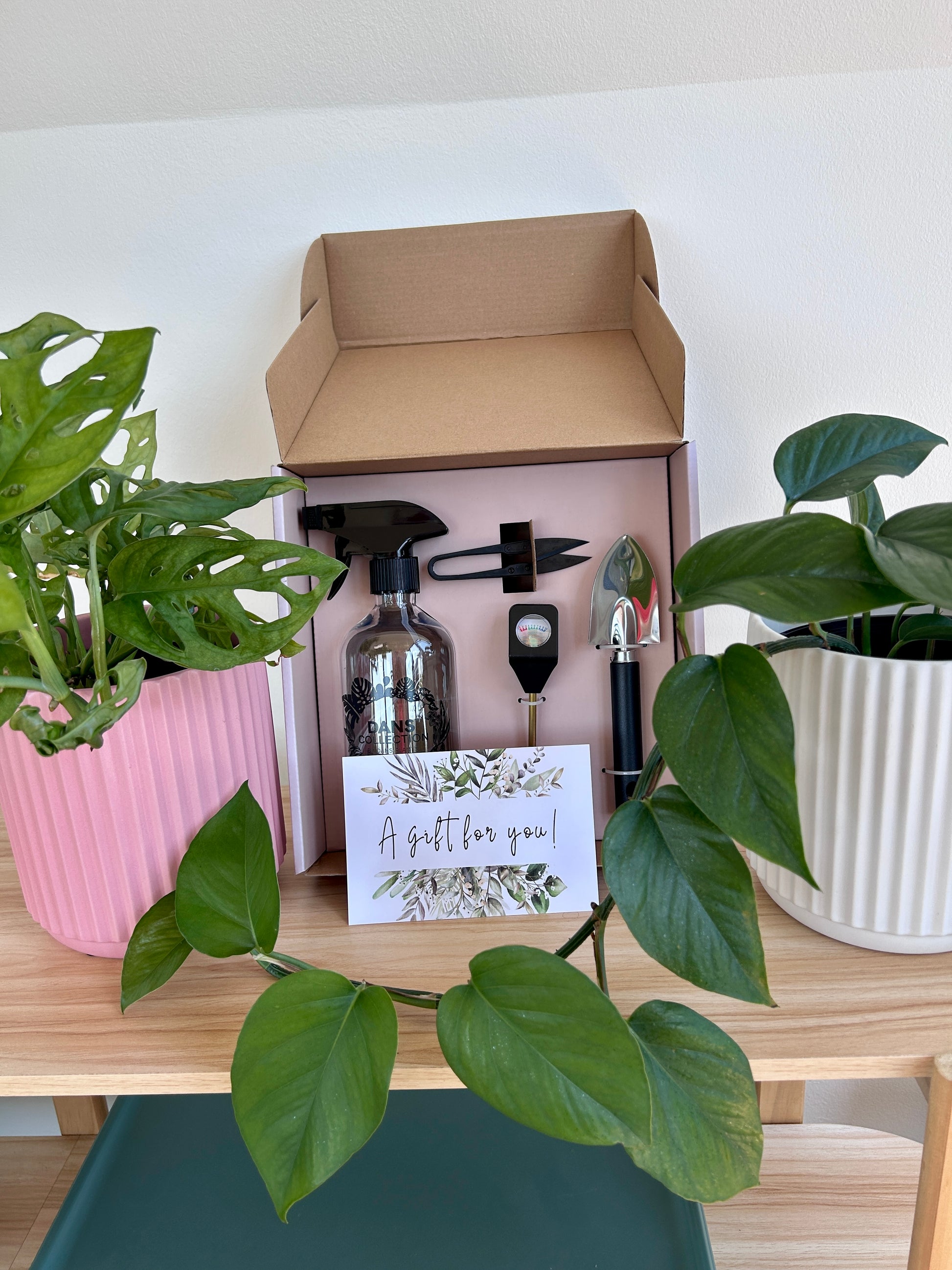 Plant Care Kit Gift Box Moisture Meter and Spray Bottle and Tools Pink Indoor Plant Care