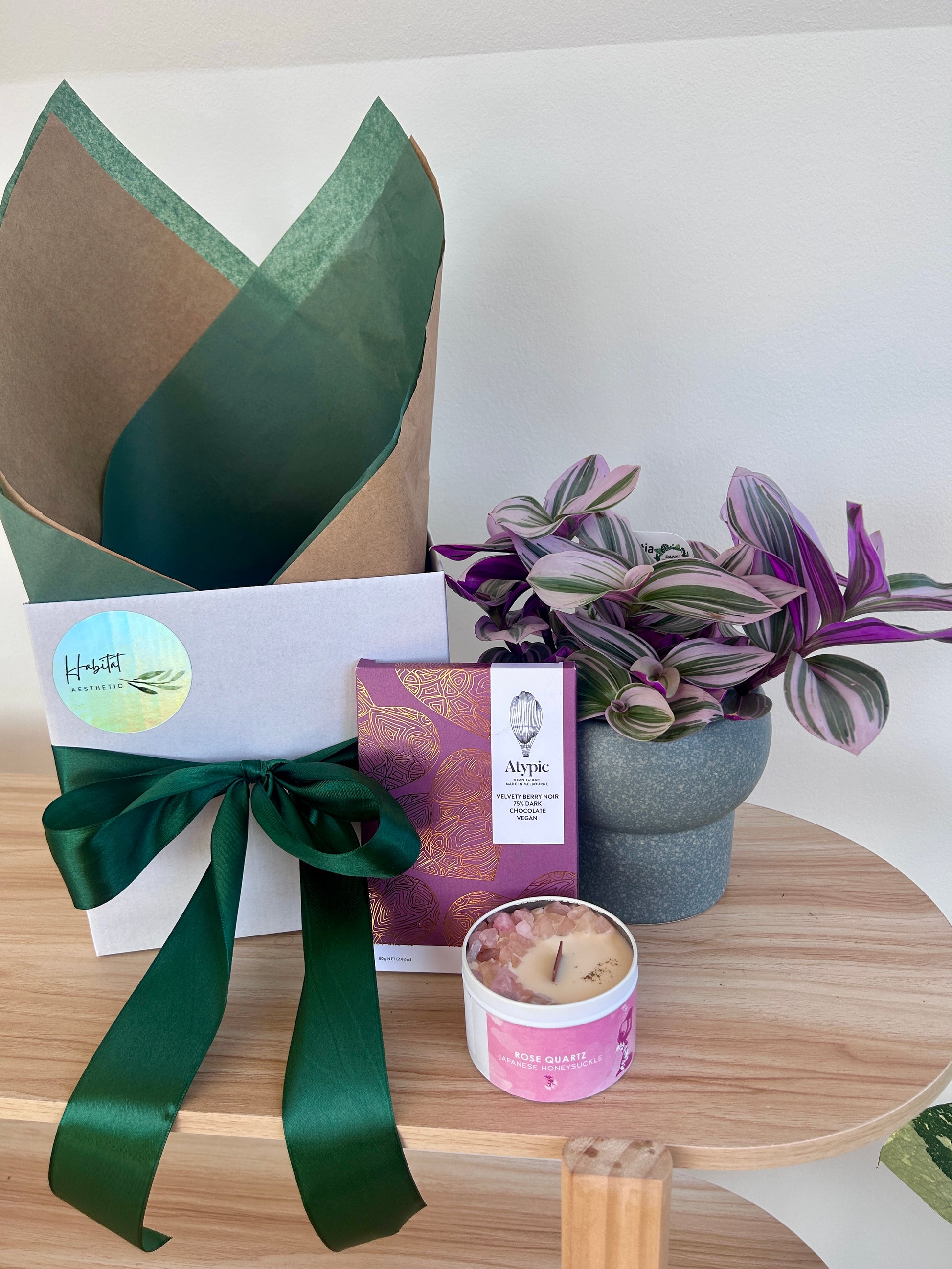 Plant Gift for Her Gift Box Australia Chocolates and Soy Gem Crystal Cadle Rose Quartz Japanese Honeysuckle  Tradescantia Nanouk Atypic Chocolate