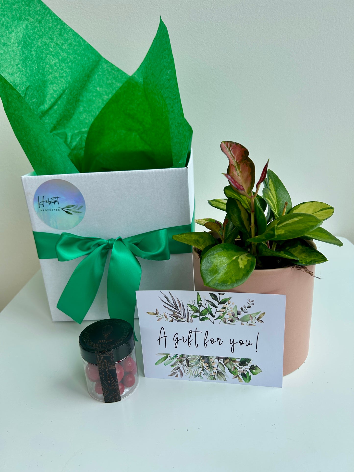 Plant Indulgence Gift Box Hoya Plant