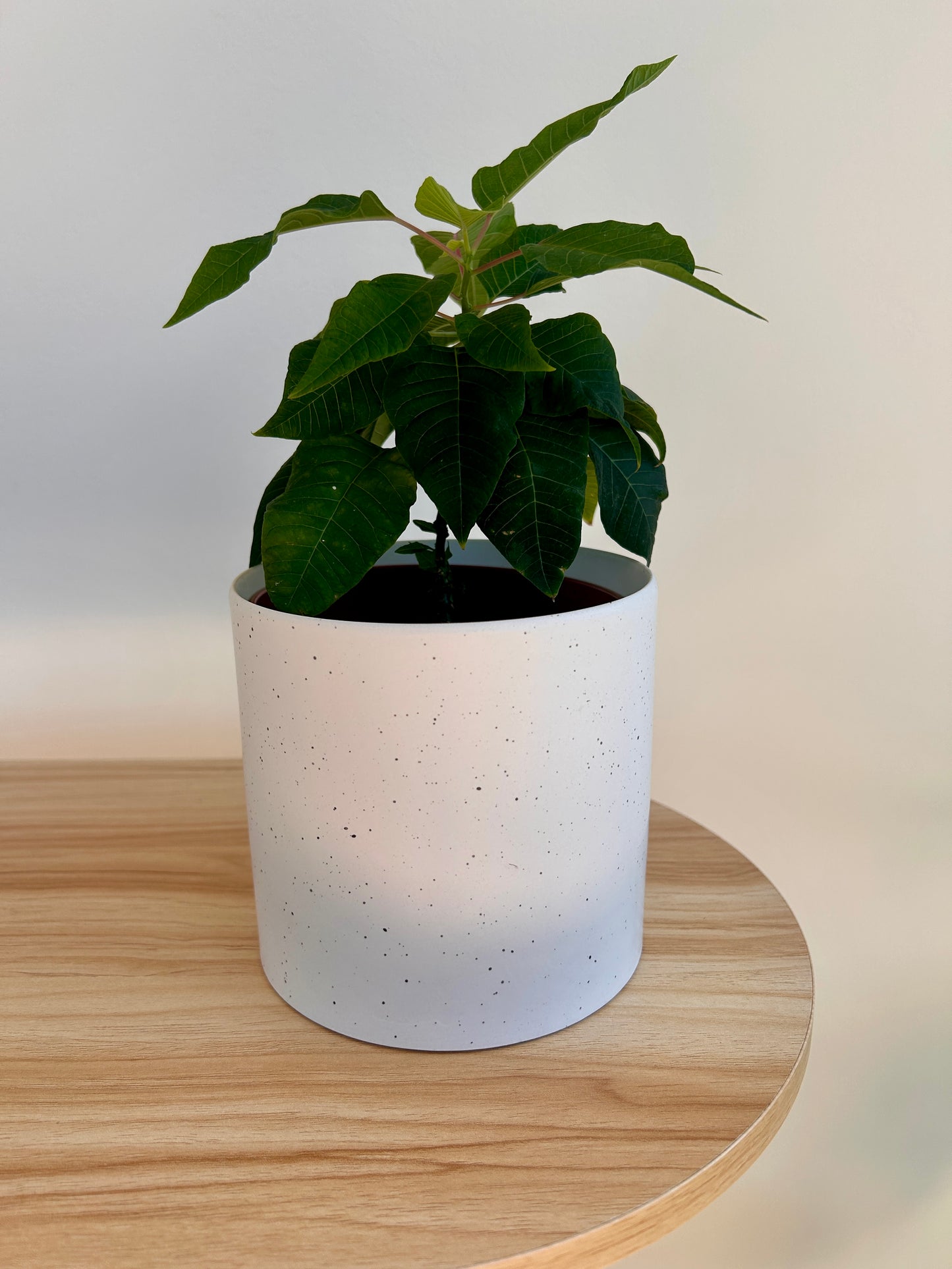 Snow White Speckled Ceramic Decorative Pot 12cm