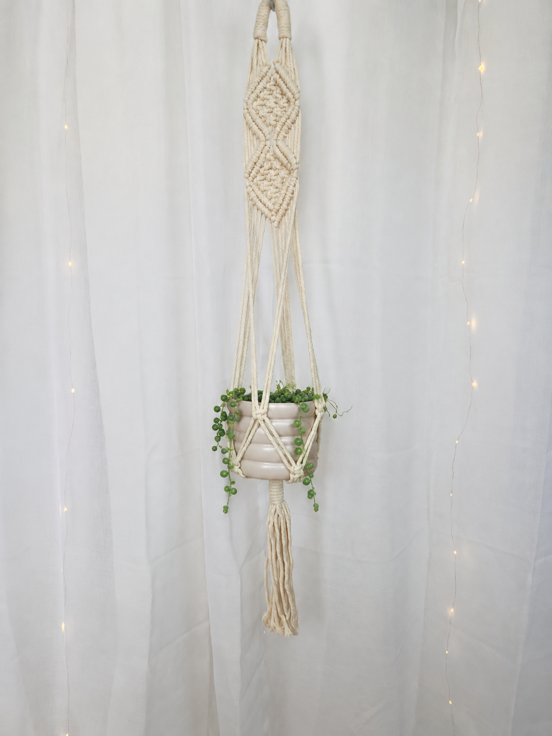 String of Pearls (Senecio Rowleyanus) 10cm in Beige Coil Ceramic Pot 10cm in Diamond Macrame Plant Hanger 50cm