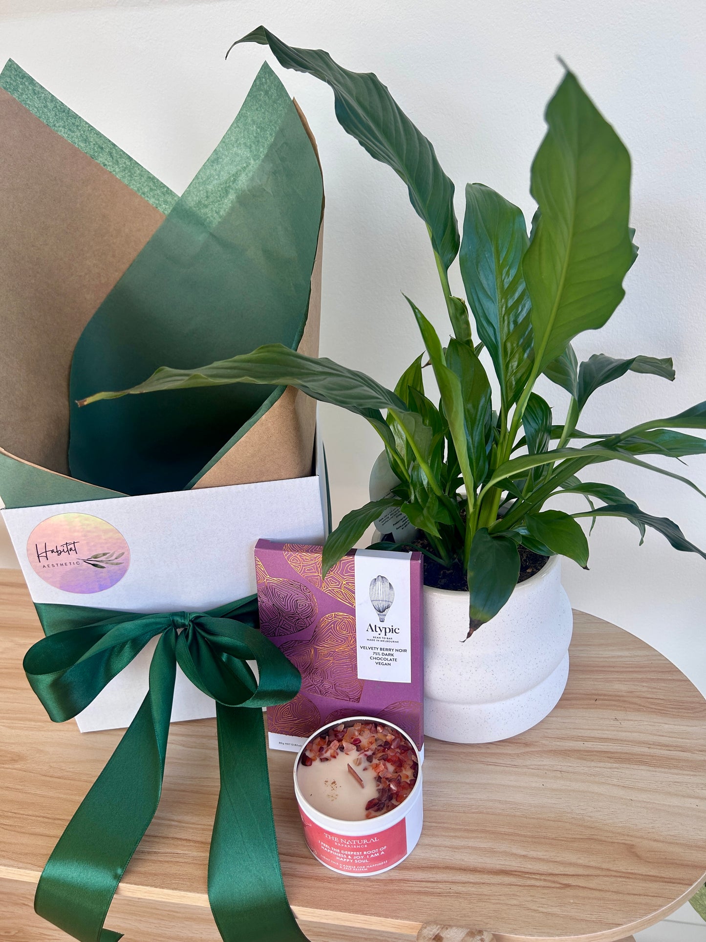 Thinking of You Gift - Peace Lily Spathiphyllum Wallisii