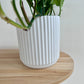 White Ribbed Ceramic Pot 14cm