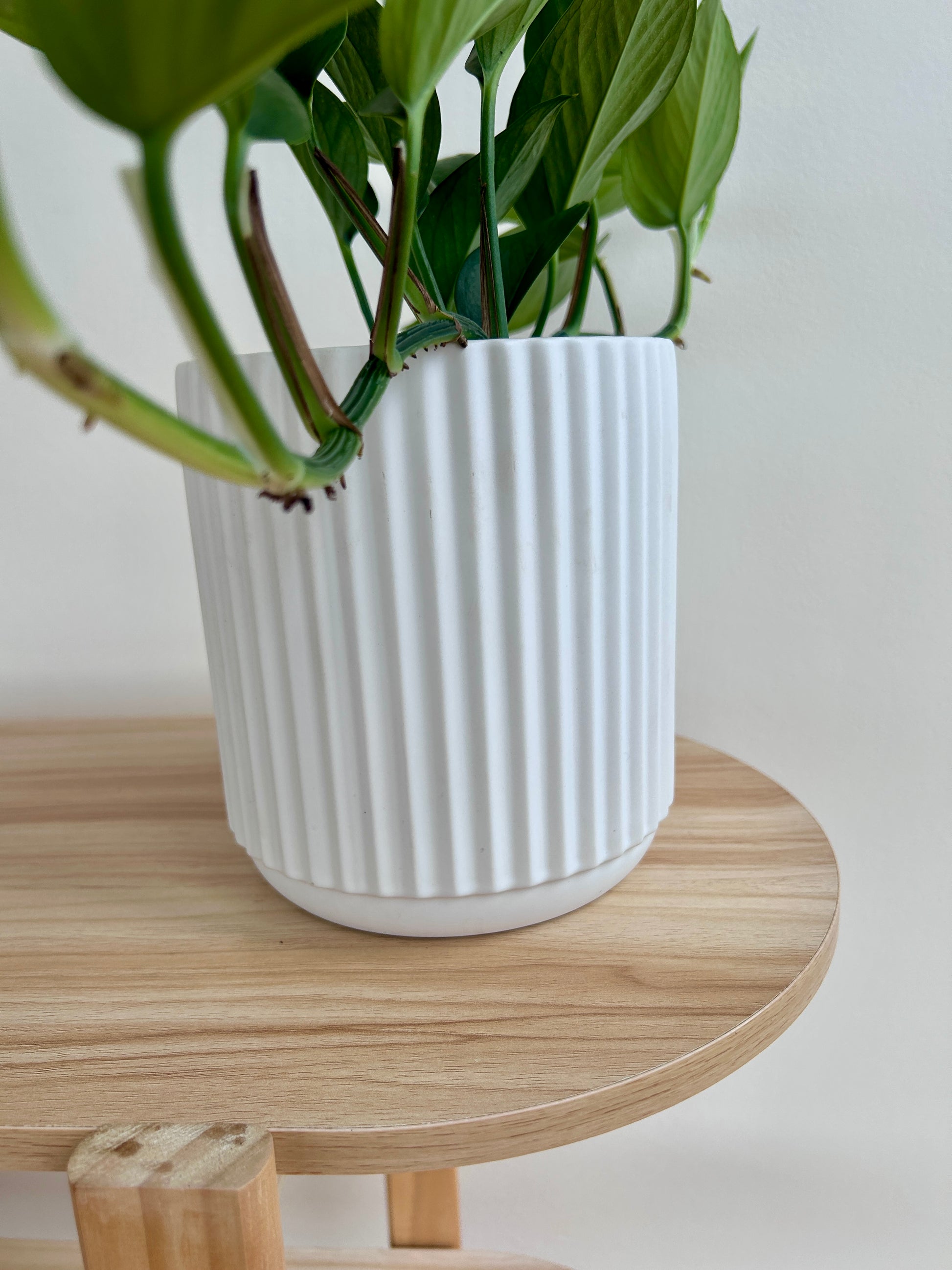 White Ribbed Ceramic Pot 14cm