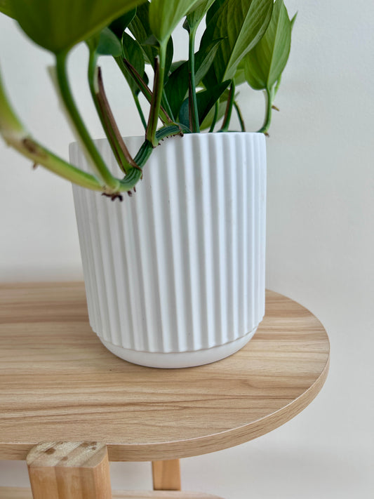 White Ribbed Ceramic Pot 14cm