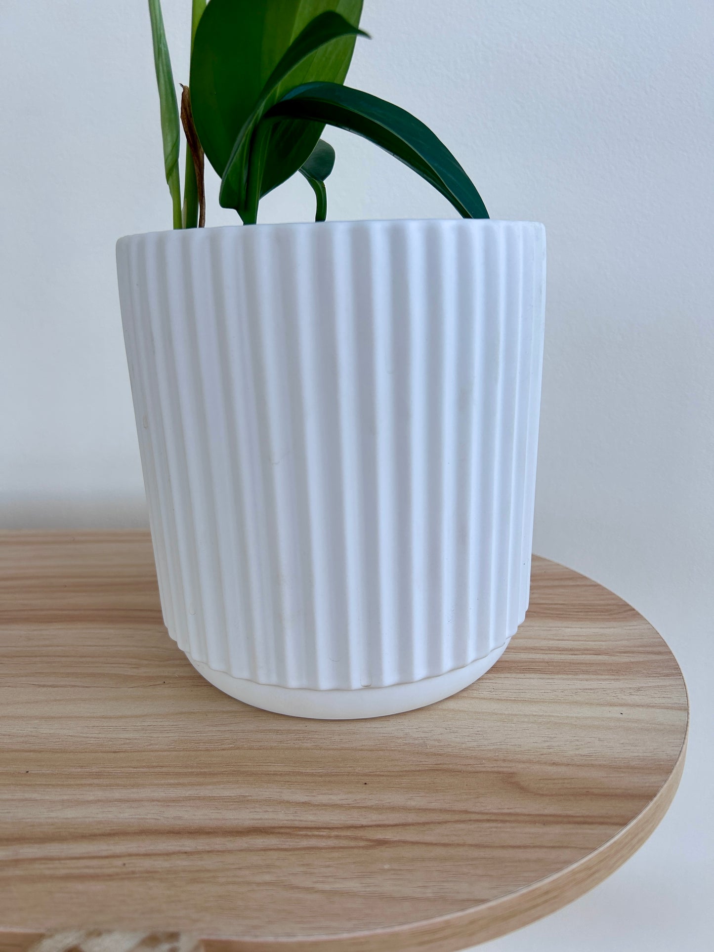 White Ribbed Ceramic Pot 14cm Close Up
