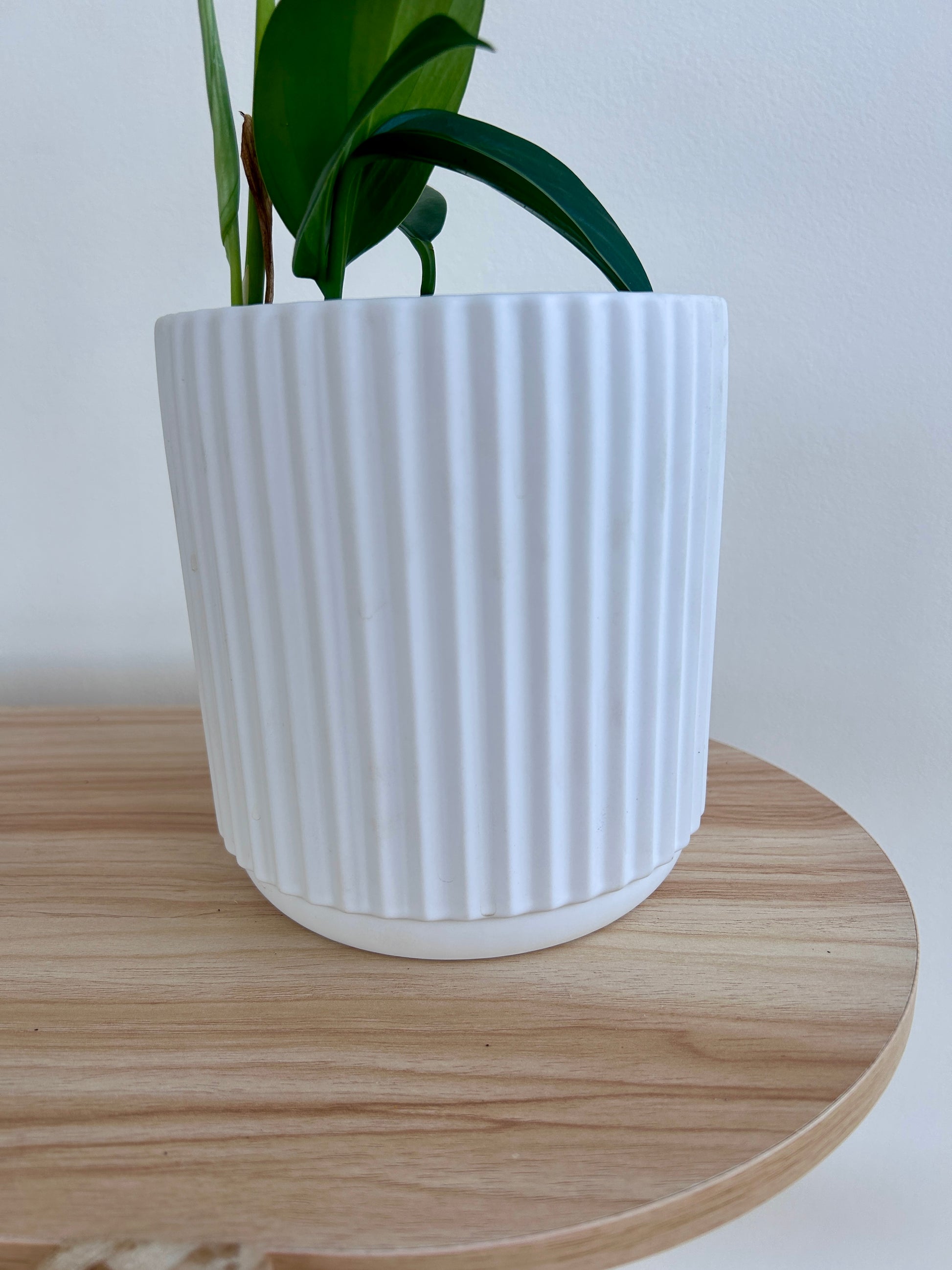 White Ribbed Ceramic Pot 14cm Close Up