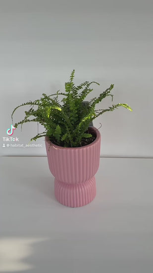 Blush Pink Tall Ribbed Ceramic Vase Plant Pot 12cm Diameter