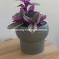 Forest Green Ceramic Pot 12cm