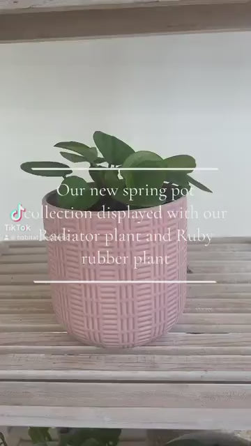 Mint Green Pattern Ceramic Plant Pot 12cm