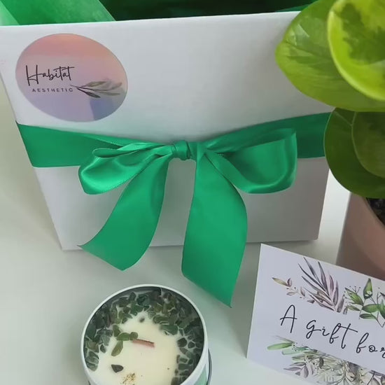 Plant & Pamper Gift Box Indoor Plant, Chocolates and Scented Soy Gem Candle