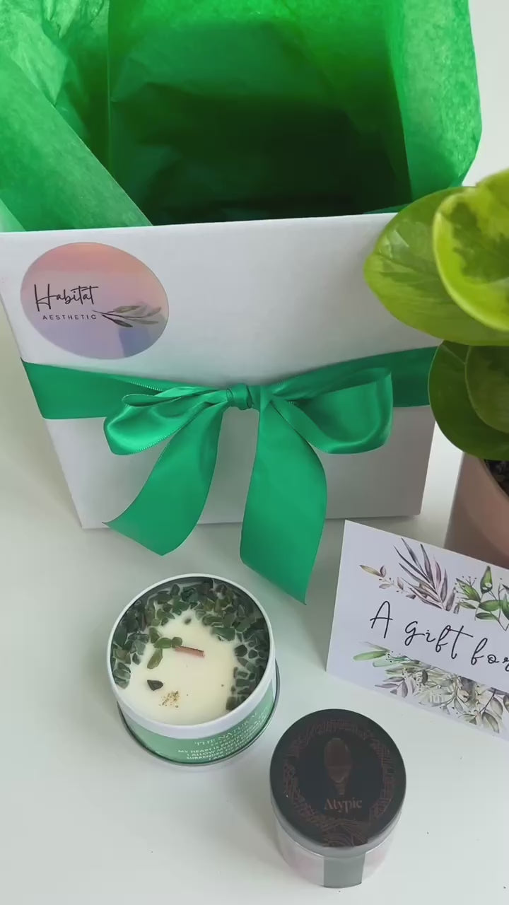 Plant & Pamper Gift Box Indoor Plant, Chocolates and Scented Soy Gem Candle