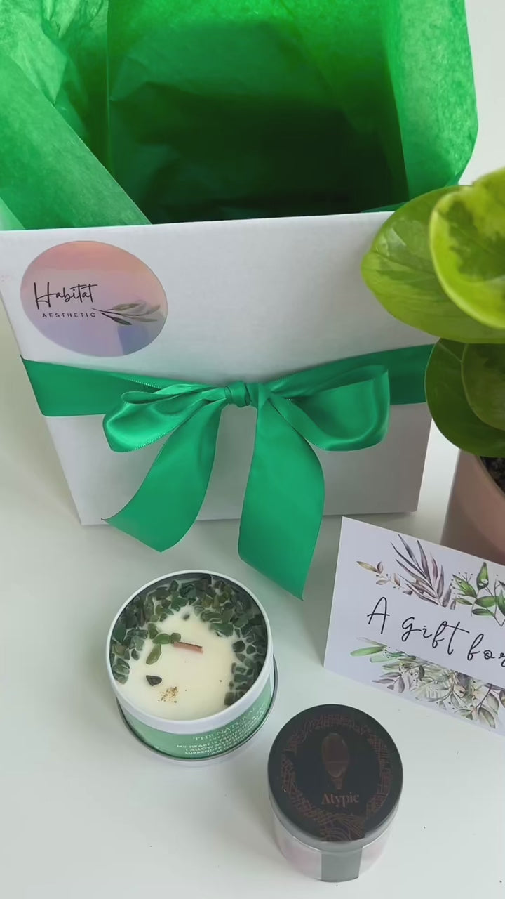 Plant Indulgence Gift Box