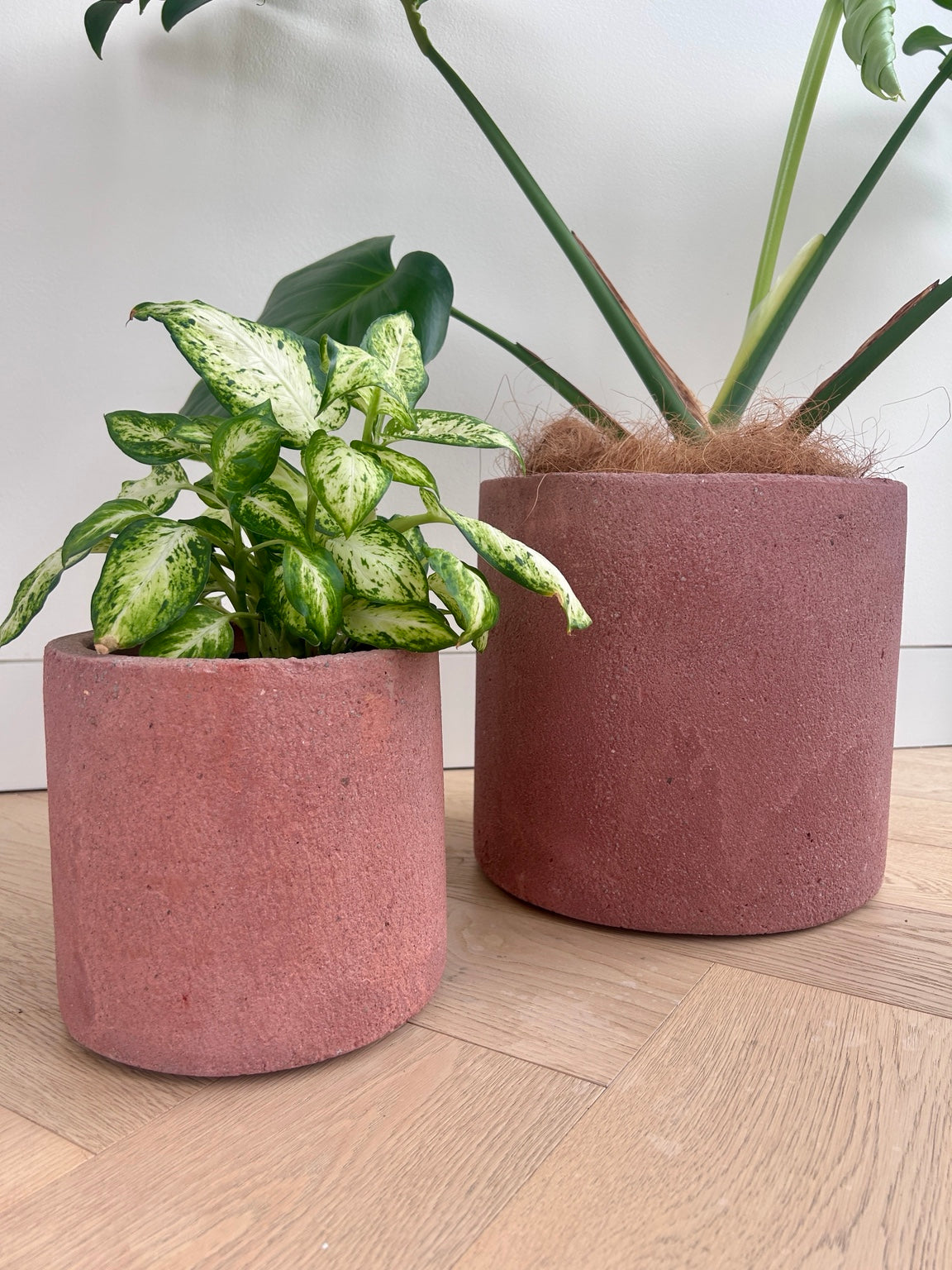 Rose pink concrete pots in 24cm and 14cm sizes showing their textured finish; smaller pot sold separately