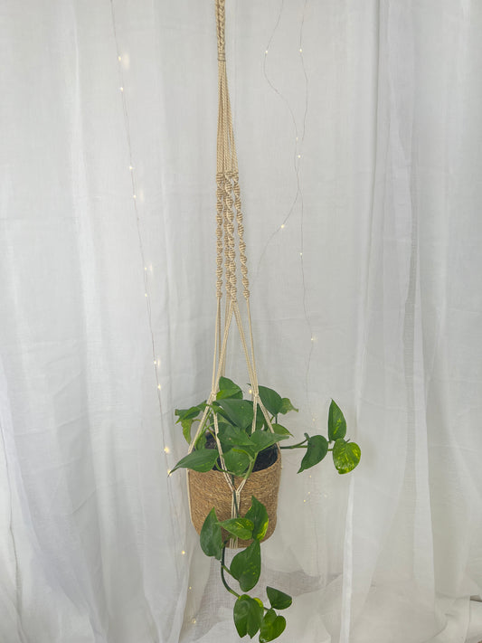 Twisted Macramé Indoor Plant Pot Hanger 120cm Boho Chic Décor Home Garden