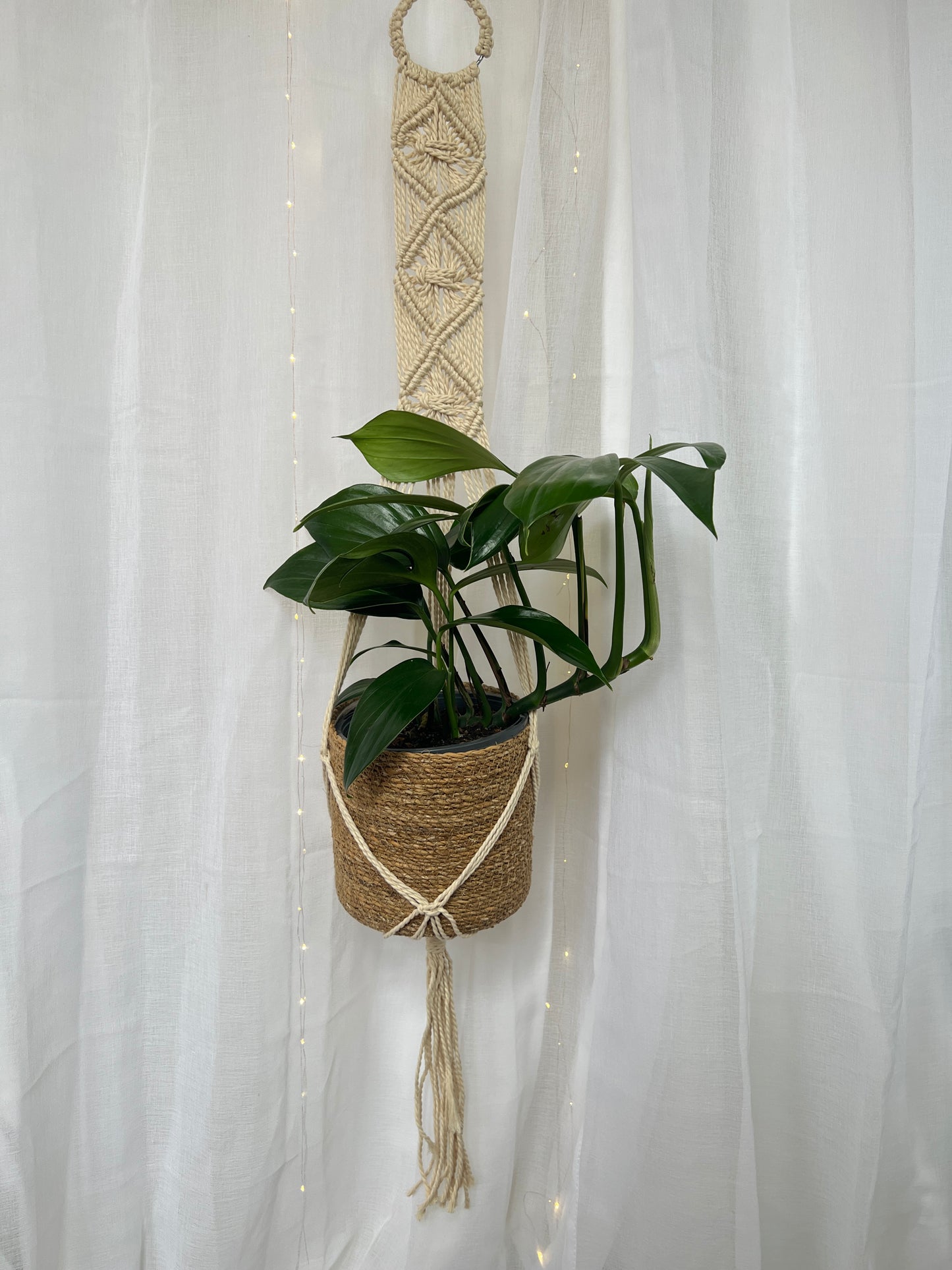 Diamond Braided Macramé Indoor Plant Pot Hanger ~1.2m Boho Chic Décor Home Garden