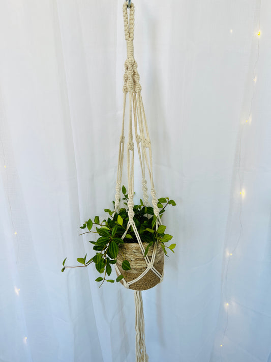 Twisted Macramé Indoor Plant Pot Hanger ~50cm Boho Chic Décor Home Garden