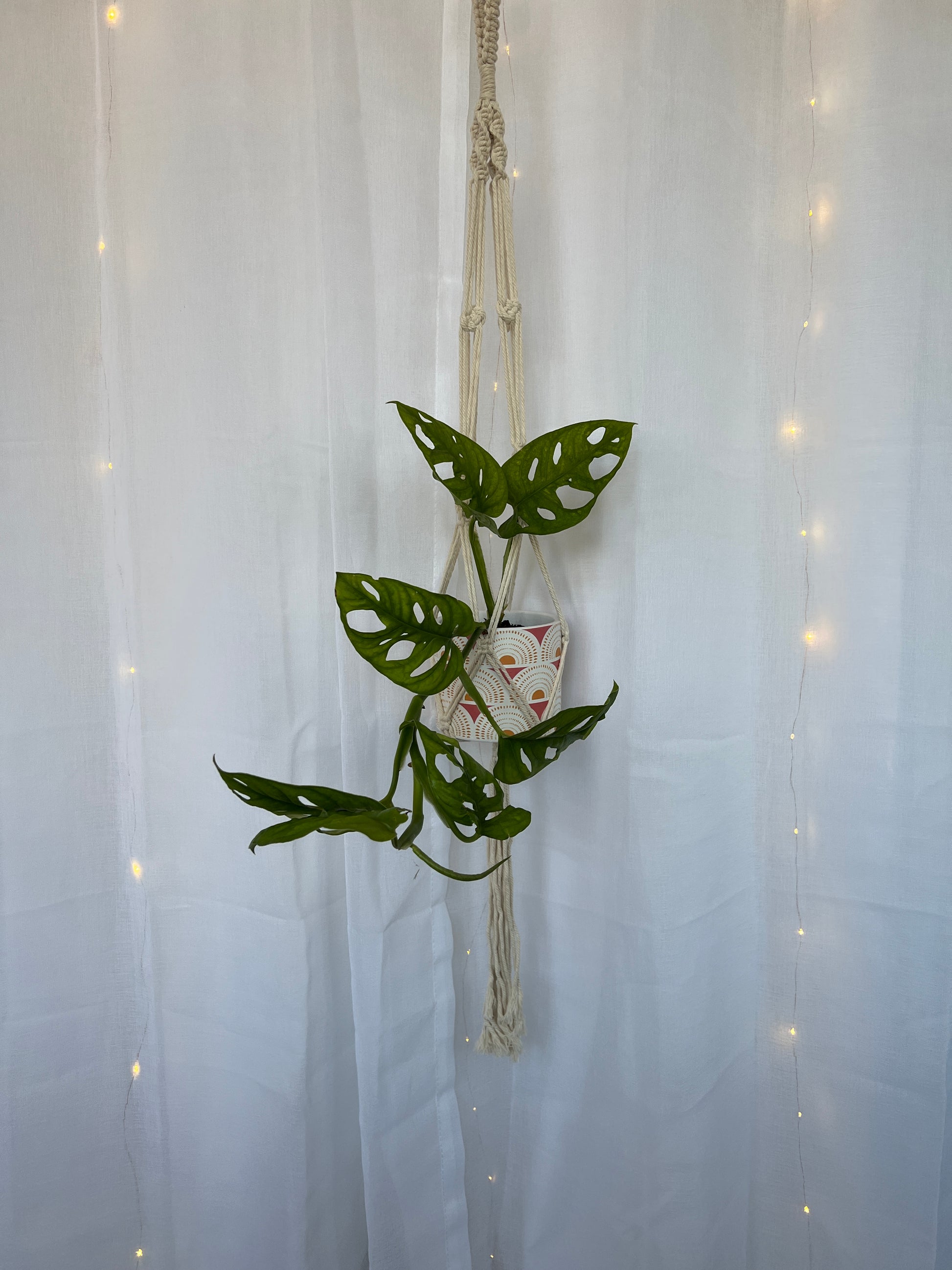 Twisted Macramé Indoor Plant Pot Hanger ~50cm Boho Chic Décor Home Garden