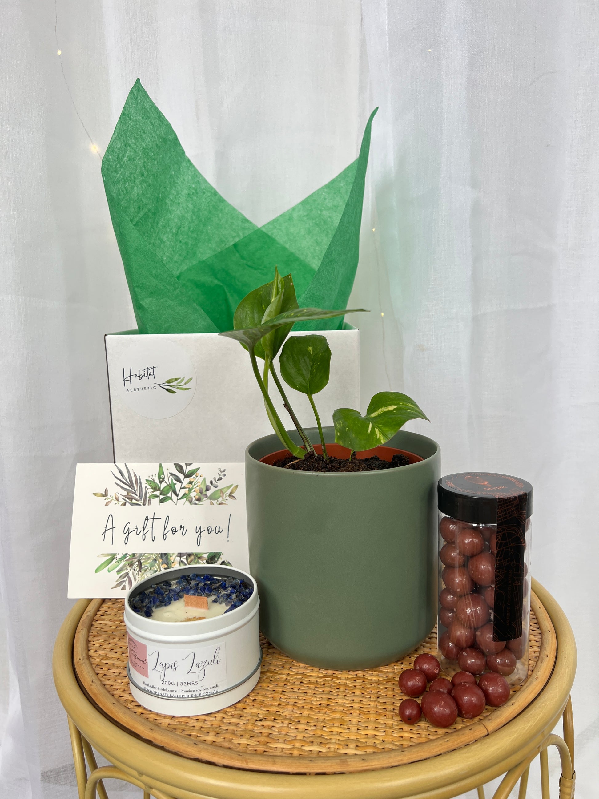 Plant Lovers Gift Box of Joy Satin Pothos Scindapsus Pictus Indoor Plant 12cm and Green Ceramic Pot and Atypic chocolates 130g and Natural Gem Soy Candle 200g
