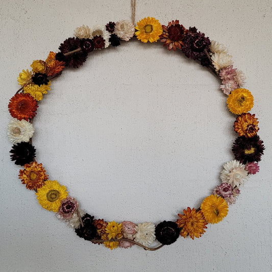 Wisteria base with Everlasting Daisies Wreath Dried Organic Art Sculpture by Elsa Thorp