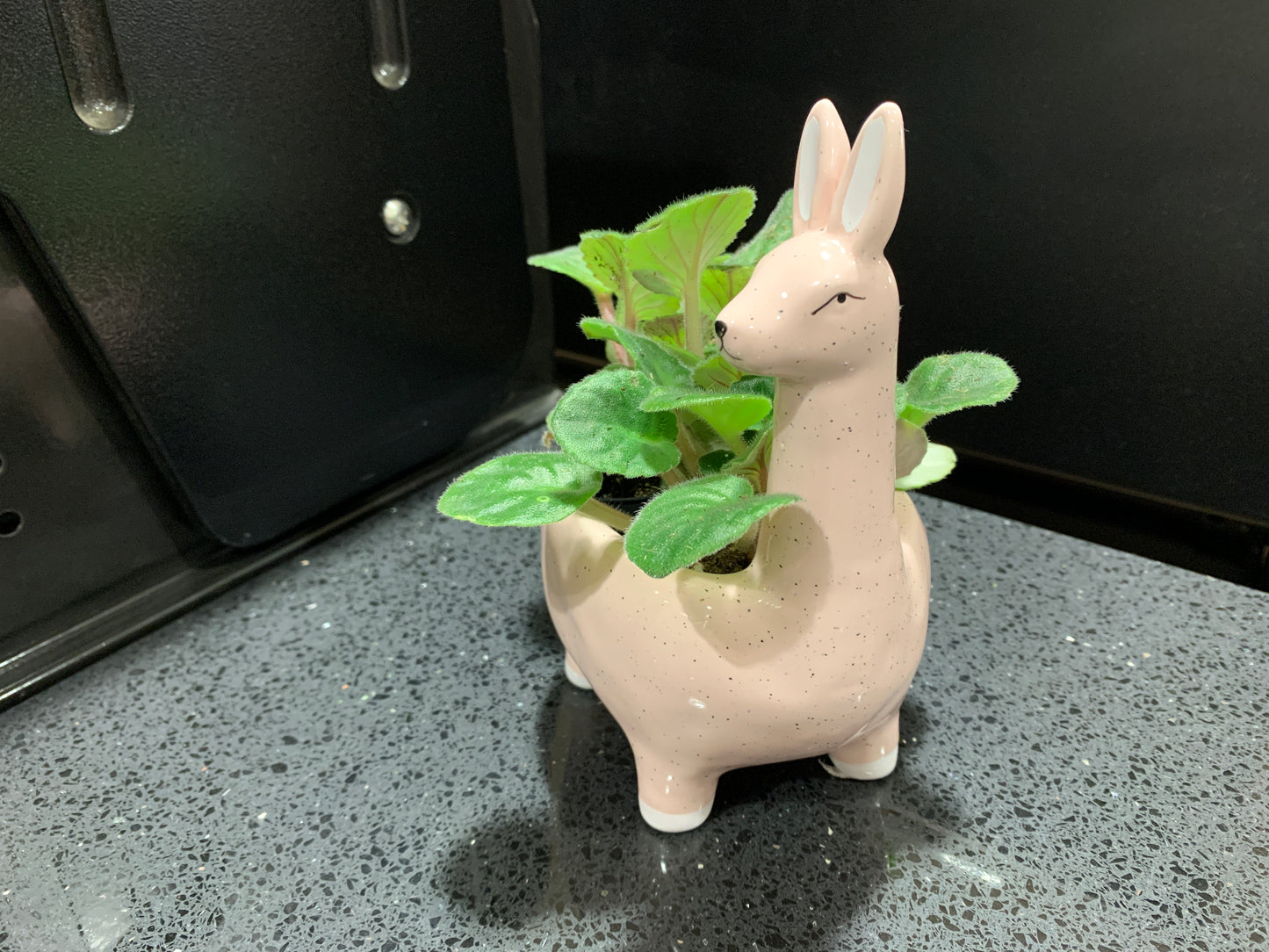 Small Pink Alpaca Ceramic Pot for Indoor Plant for sale online in Australia