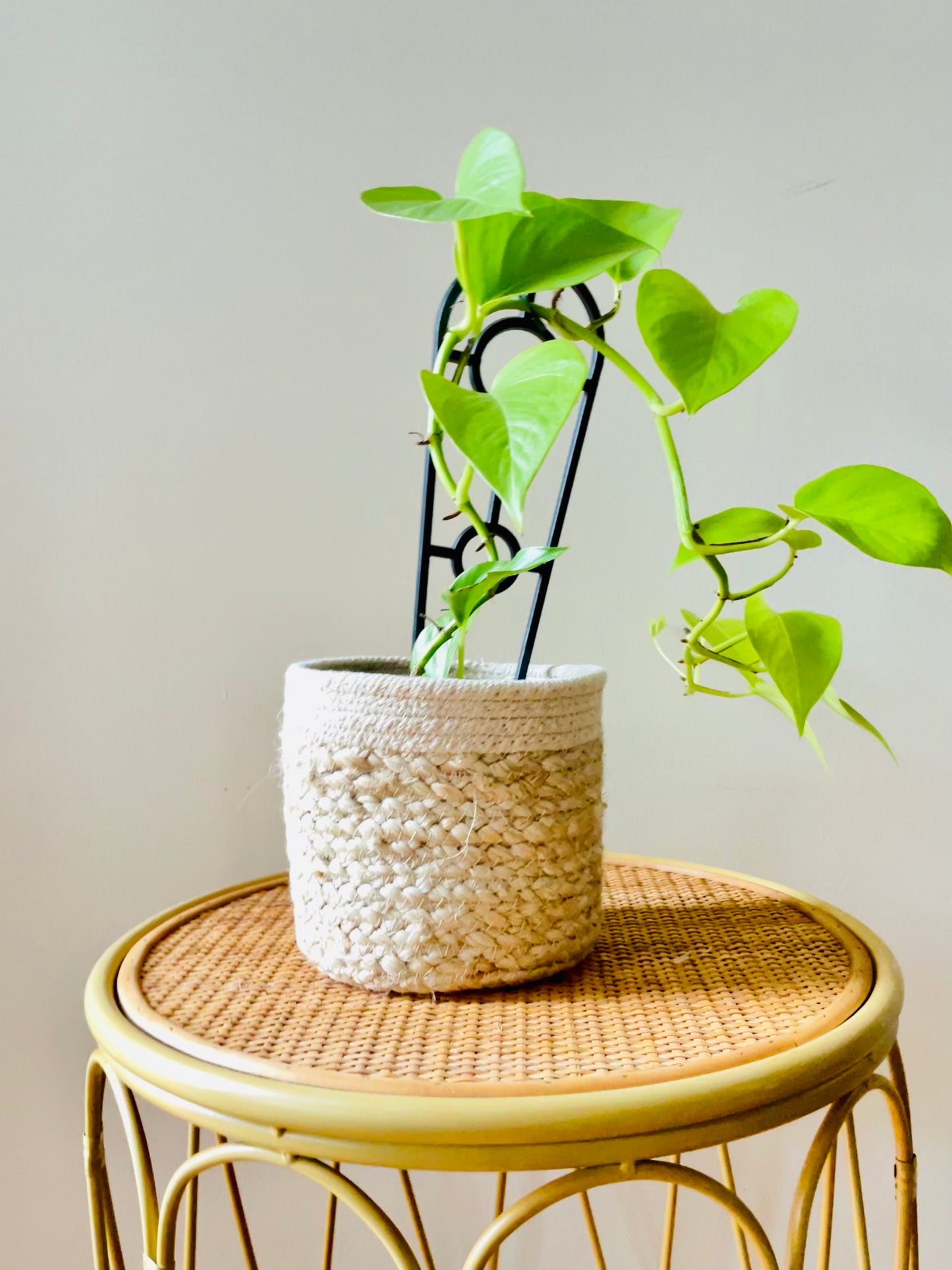 Jute Cotton 2 Tone Hand Woven Indoor Plant Pot Round Basket 12/14/16/18/20cm Boho Beach Coastal Organic Natural
