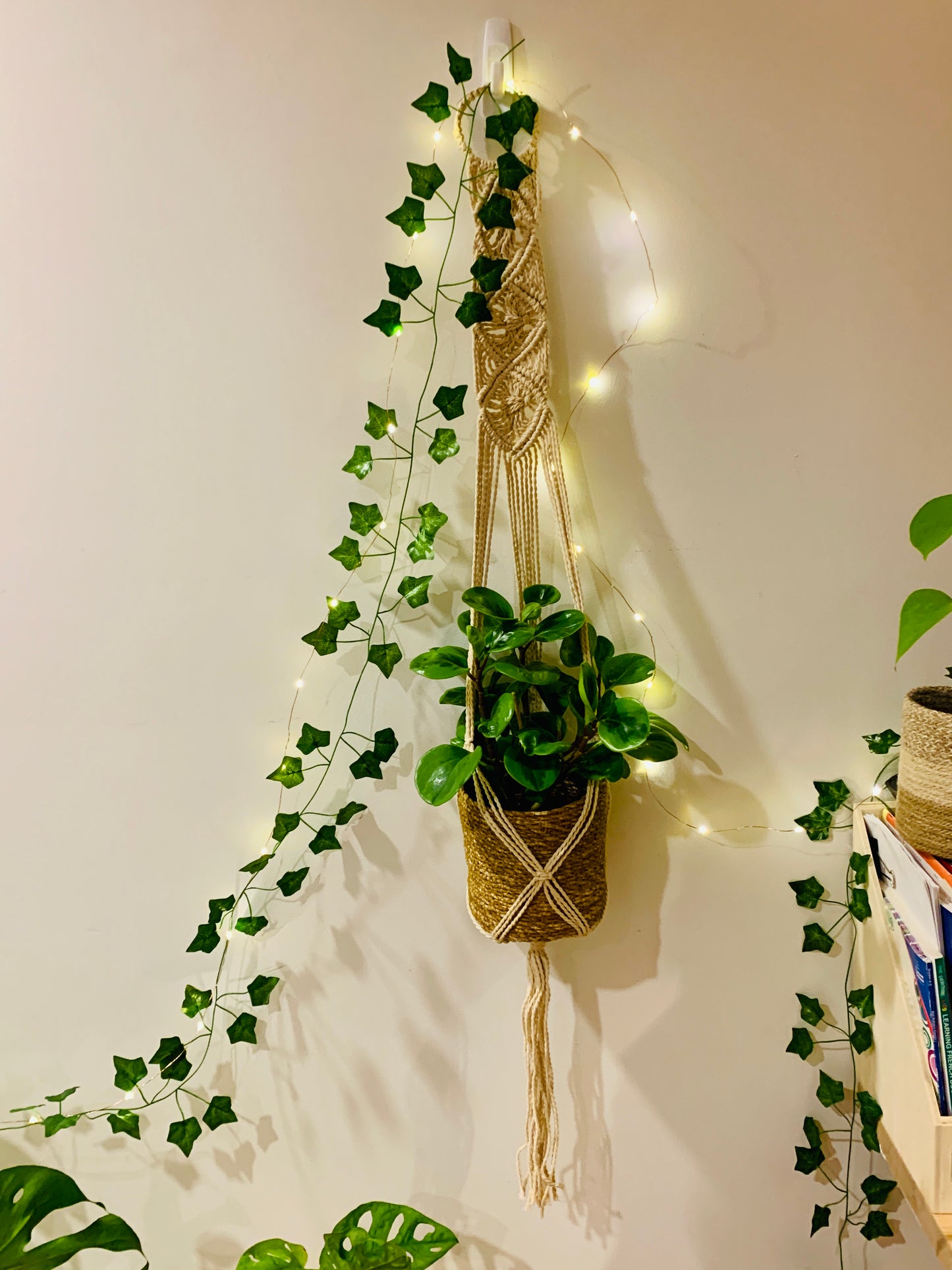 Habitat Aesthetic Starter Pack Indoor Plant Pot Hanging Macramé Lights Artificial Vines
